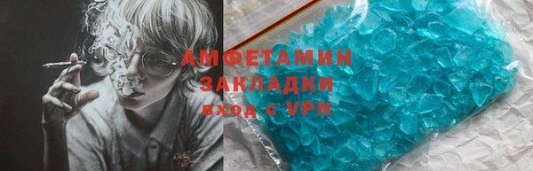 прущие грибы Краснослободск