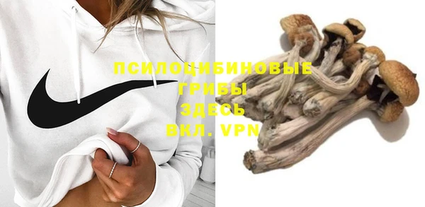 прущие грибы Краснослободск