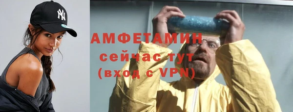 прущие грибы Краснослободск