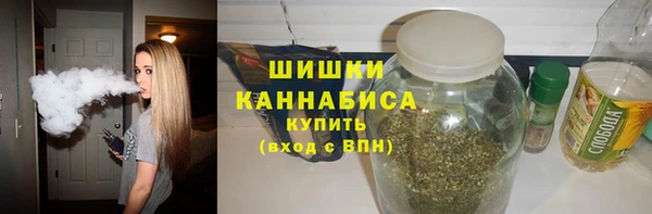 прущие грибы Краснослободск