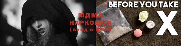 прущие грибы Краснослободск