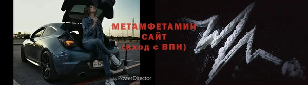 прущие грибы Краснослободск