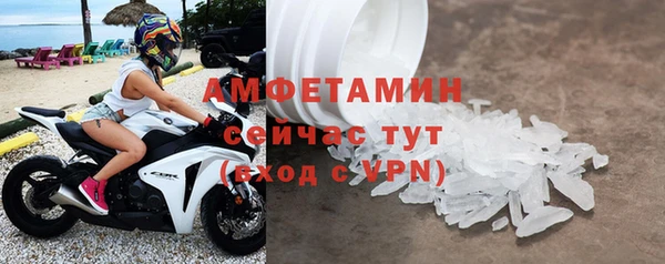 прущие грибы Краснослободск