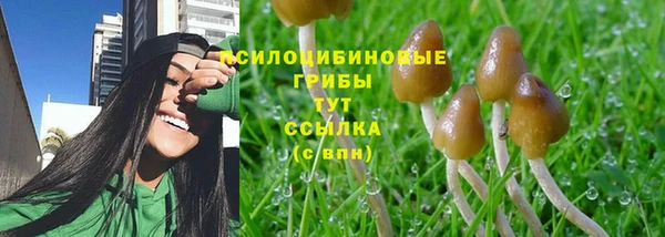 мдпв Куйбышев
