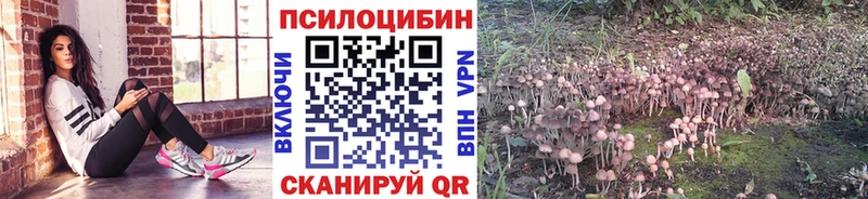 Купить закладки  Катав-Ивановск  Псилоцибиновые грибы Psilocybine cubensis 