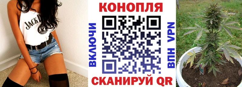 Купить закладки  Катав-Ивановск  Бошки марихуана Amnesia 